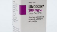 Lincocin nedir, Lincocin ne için kullanılır?