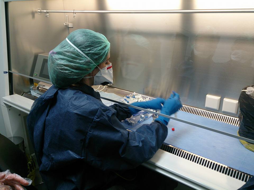 1510452_413936032112014_5294545033005797018_n